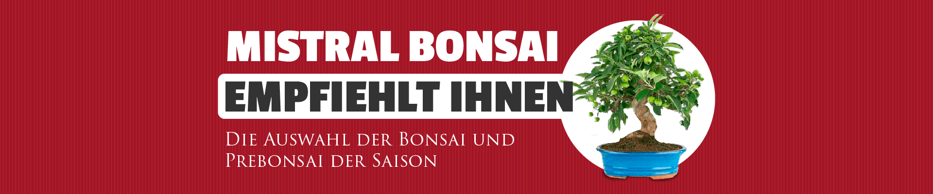 https://www.mistralbonsai.com/tienda/de/73-mistral-bonsai-empfiehlt